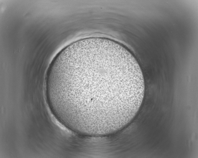 X0000078021518200611101833