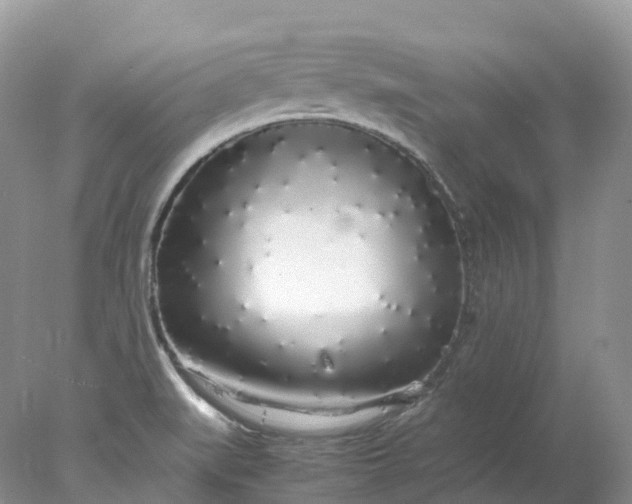 X0000078021519200611101833