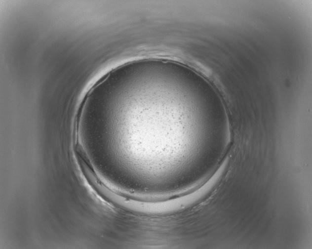 X0000078021520200611101833