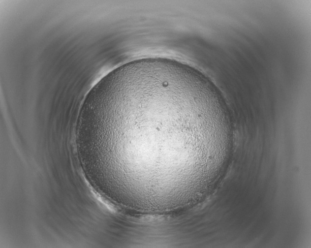 X0000078021521200611101833