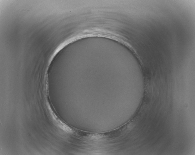 X0000078021522200611101833