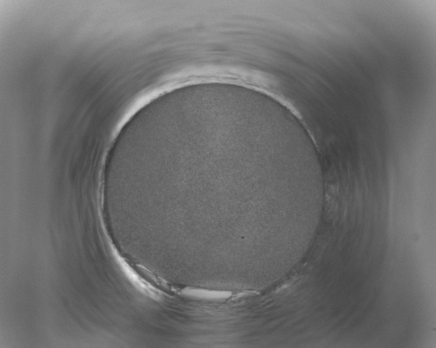 X0000078021523200611101833