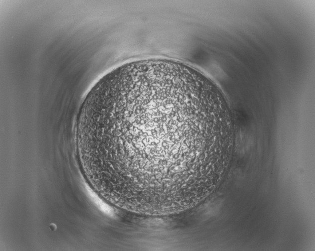 X0000078021524200611101833