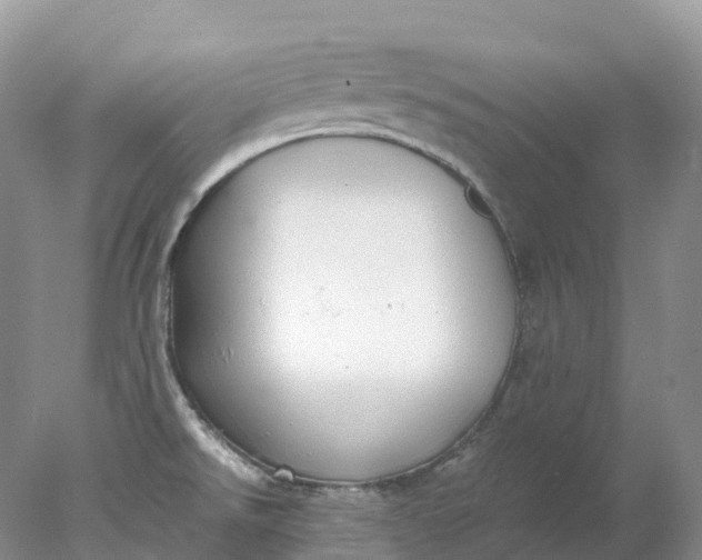 X0000078021526200611101833