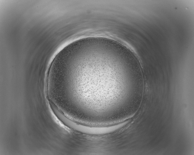 X0000078021528200611101833