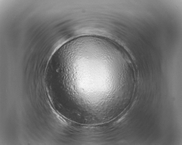 X0000078021529200611101833