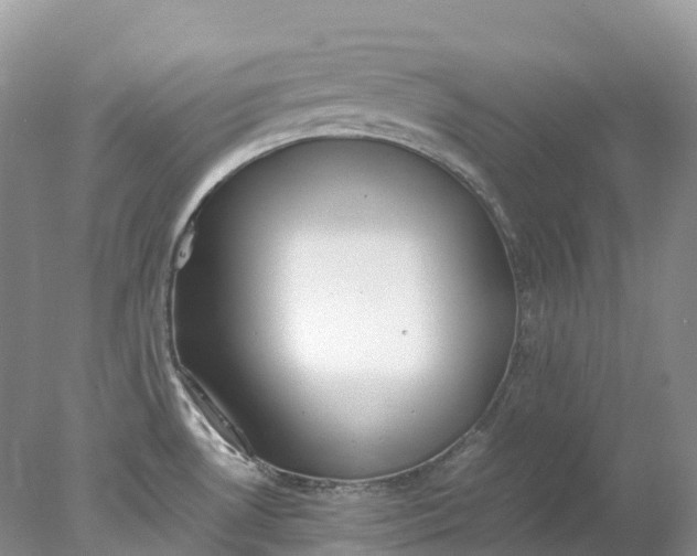 X0000078021530200611101834