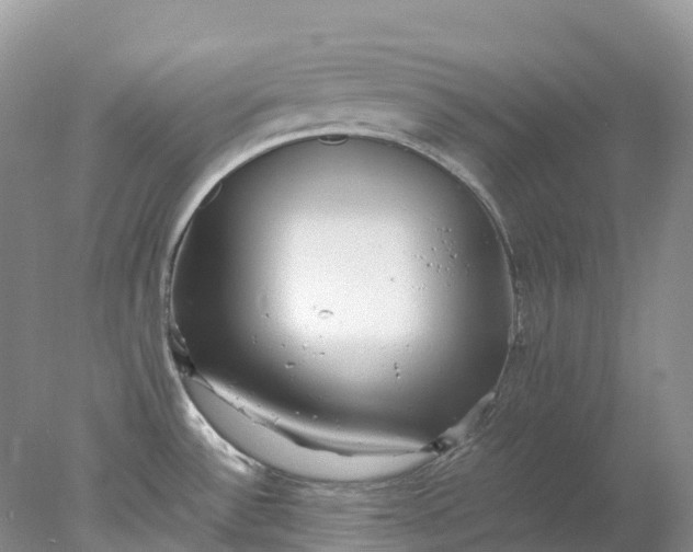 X0000078021532200611101834