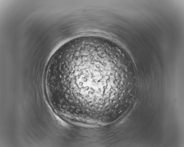 X0000078021533200611101834