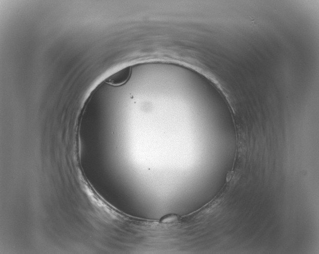 X0000078021534200611101834