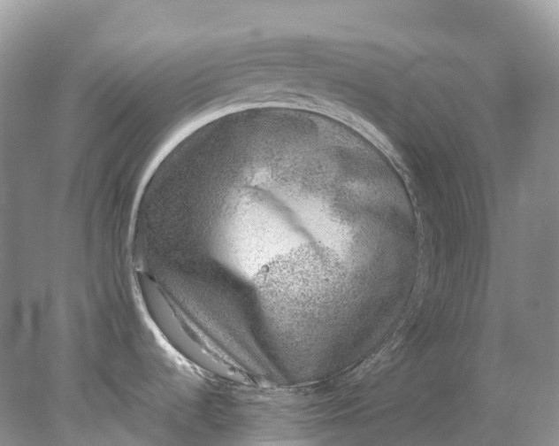 X0000078021536200611101834