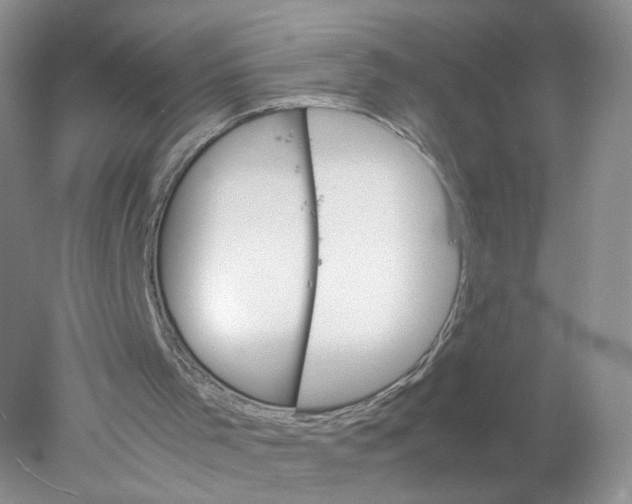 X0000078020001200611171925