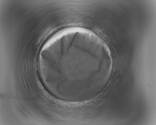 X0000078020002200611171925