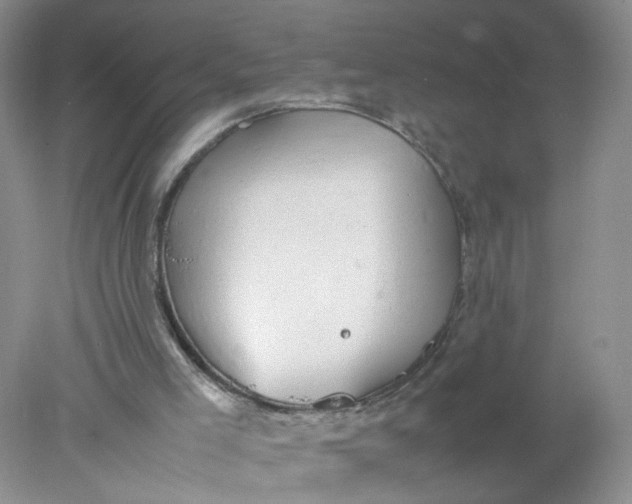 X0000078020005200611171925