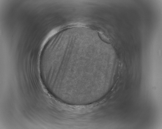 X0000078020006200611171925