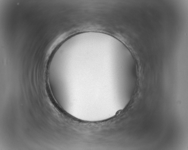 X0000078020007200611171925