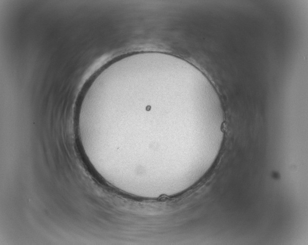 X0000078020008200611171925