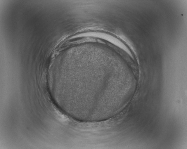 X0000078020009200611171925