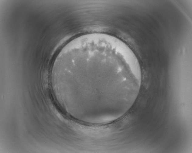 X0000078020012200611171925