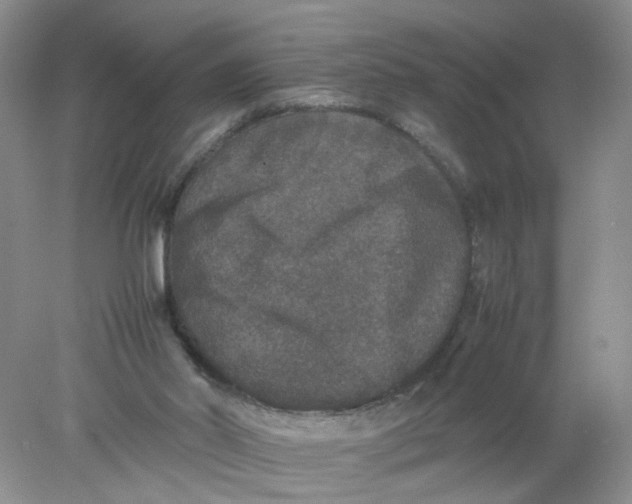 X0000078020014200611171925