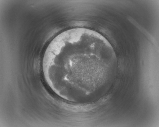 X0000078020016200611171925