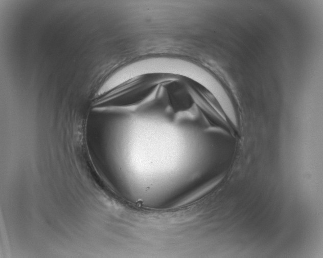 X0000078020017200611171925