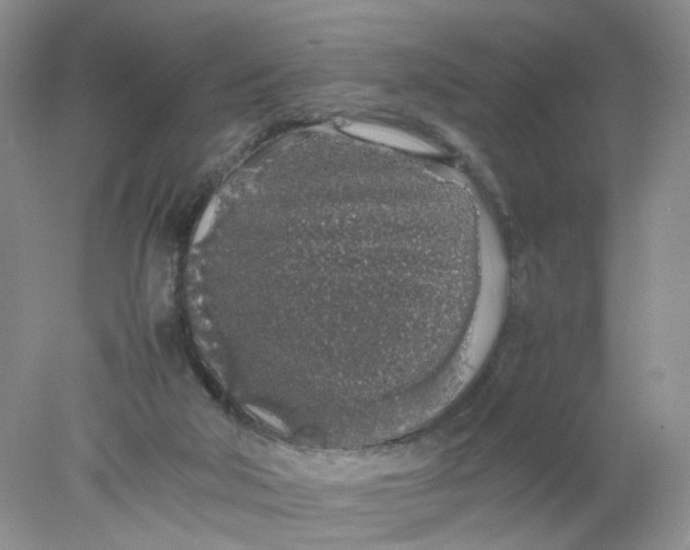 X0000078020018200611171925