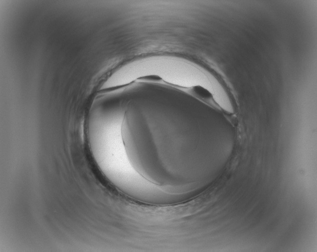 X0000078020019200611171925