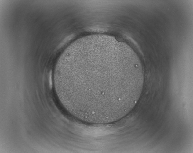 X0000078020020200611171925