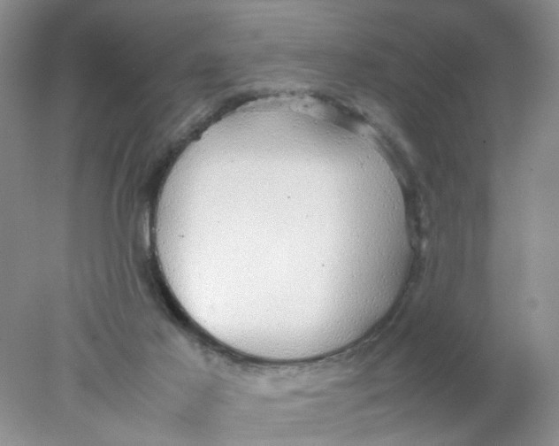 X0000078020021200611171925