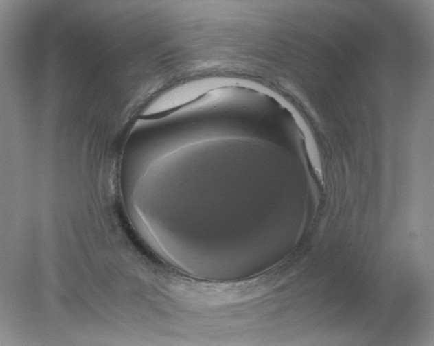 X0000078020023200611171924