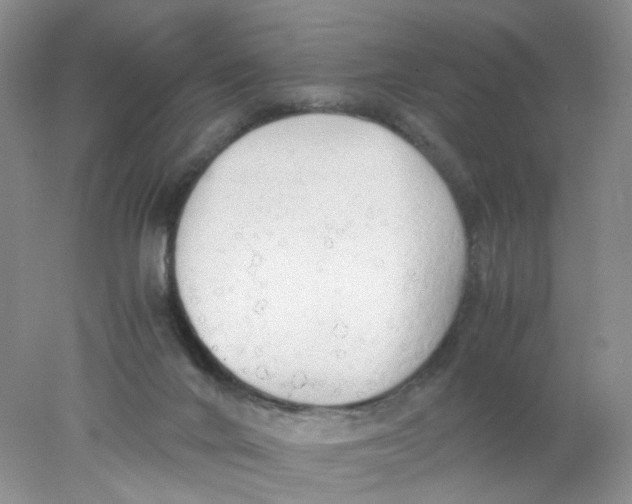 X0000078020024200611171924