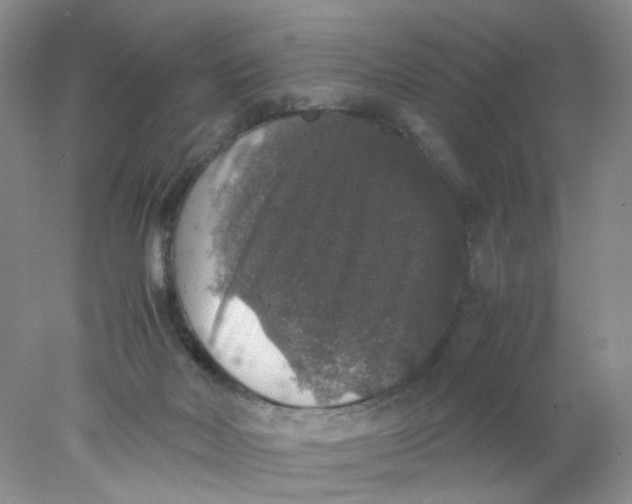 X0000078020026200611171924