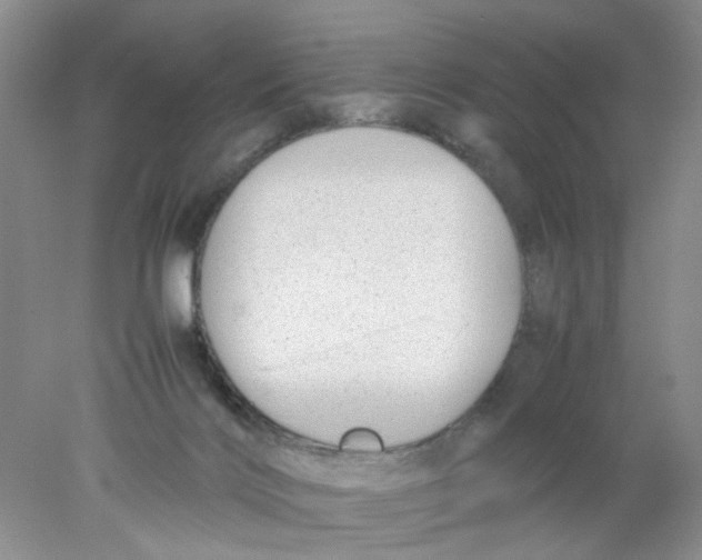 X0000078020028200611171924