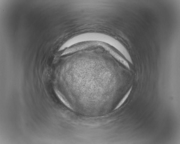 X0000078020029200611171924