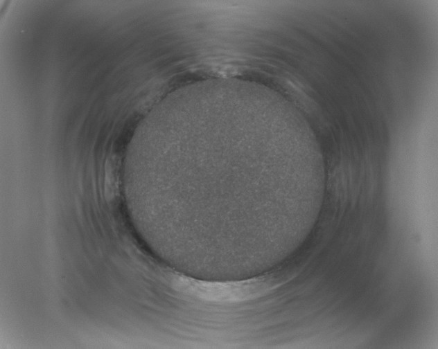 X0000078020030200611171924