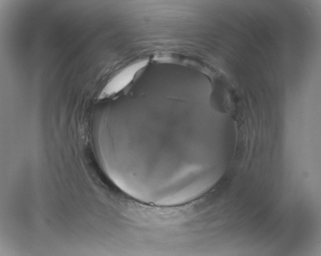 X0000078020031200611171924