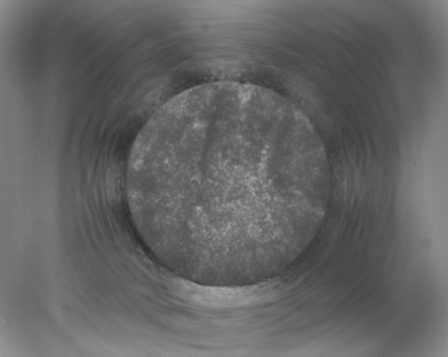 X0000078020034200611171924