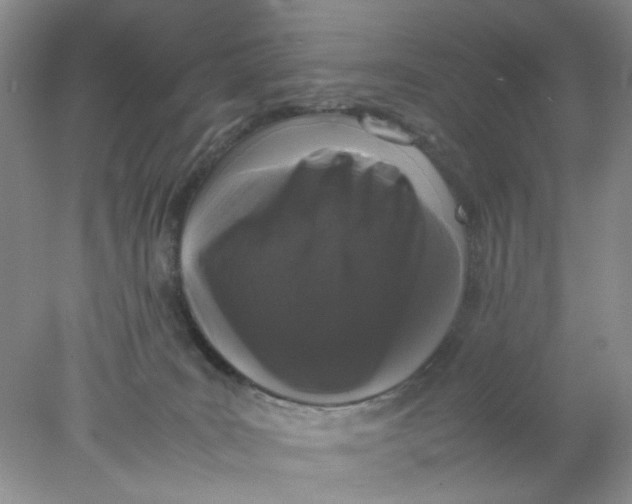 X0000078020035200611171924