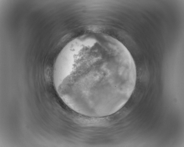 X0000078020036200611171924