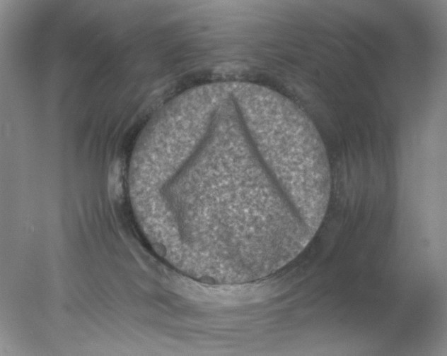 X0000078020038200611171924