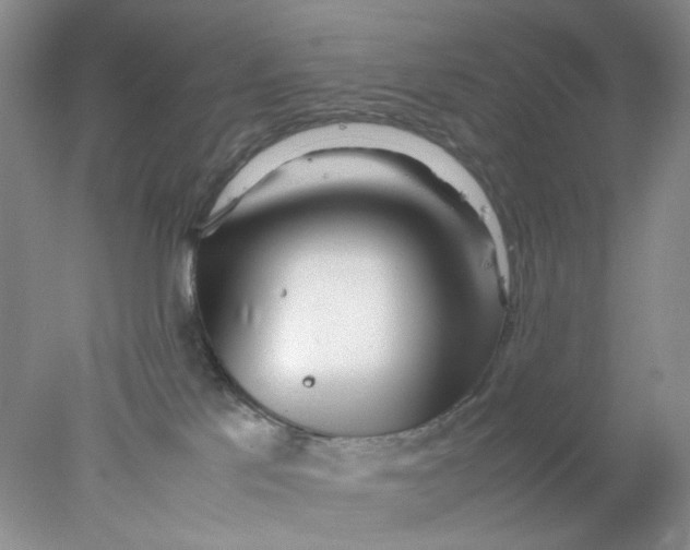 X0000078020041200611171924