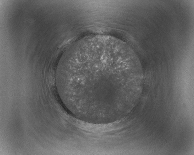 X0000078020043200611171924