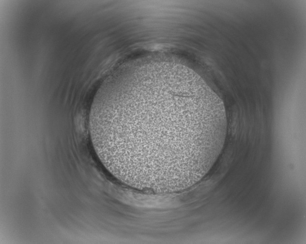 X0000078020044200611171924