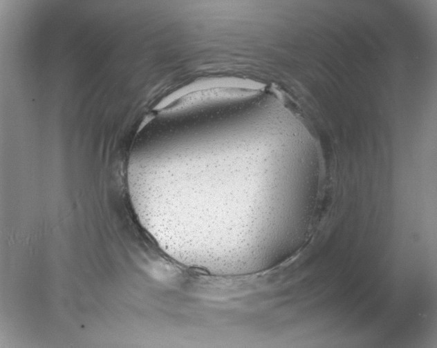 X0000078020045200611171924