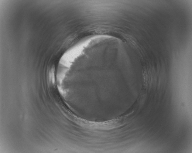 X0000078020046200611171924