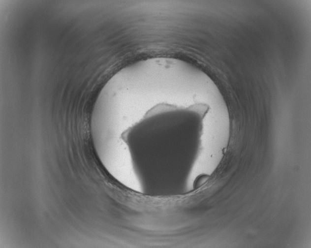 X0000078020048200611171924