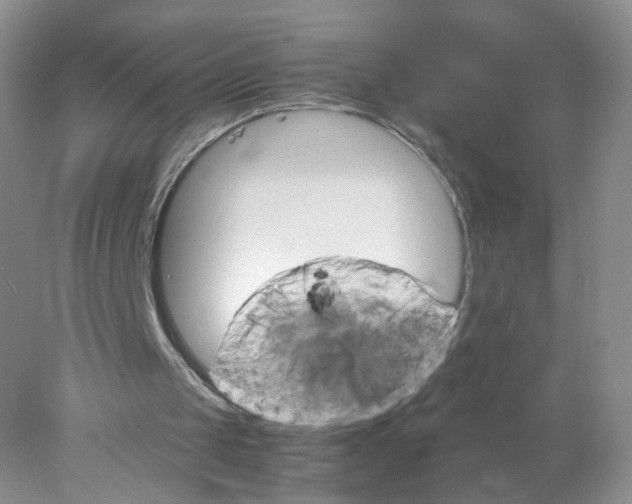 X0000078020049200611171923