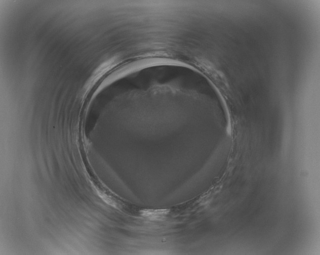 X0000078020051200611171923