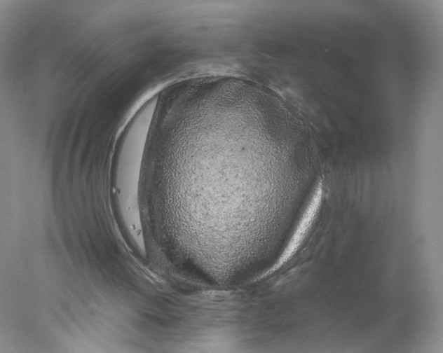 X0000078020052200611171923